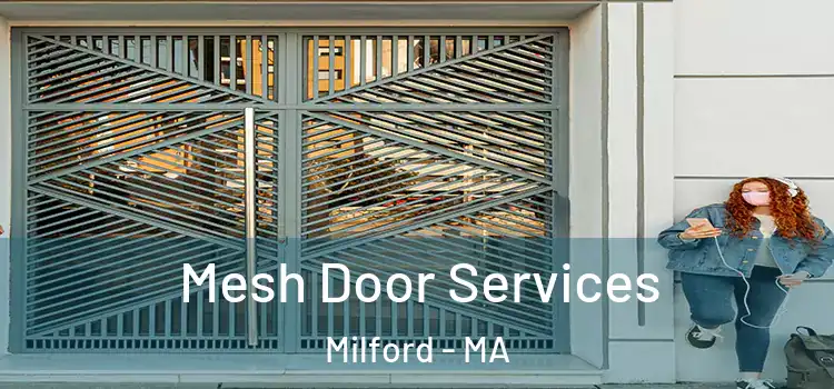  Mesh Door Services Milford - MA